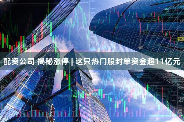 配资公司 揭秘涨停 | 这只热门股封单资金超11亿元